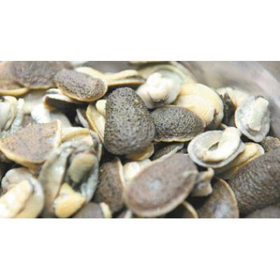 黄沙港海赖子500g