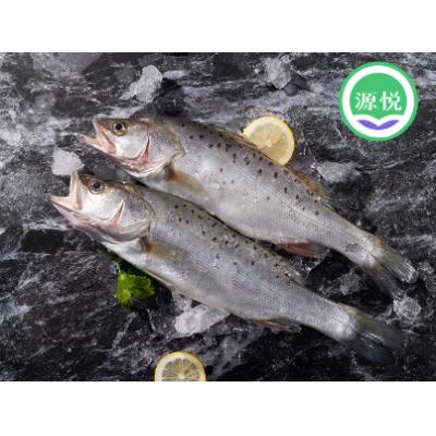 海捕鲈鱼750g每条